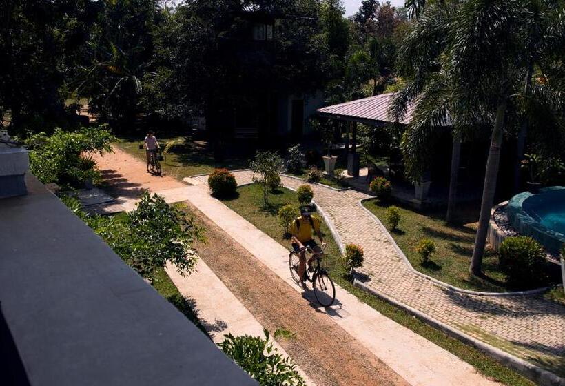 بنسيون Royal Rock Sigiriya
