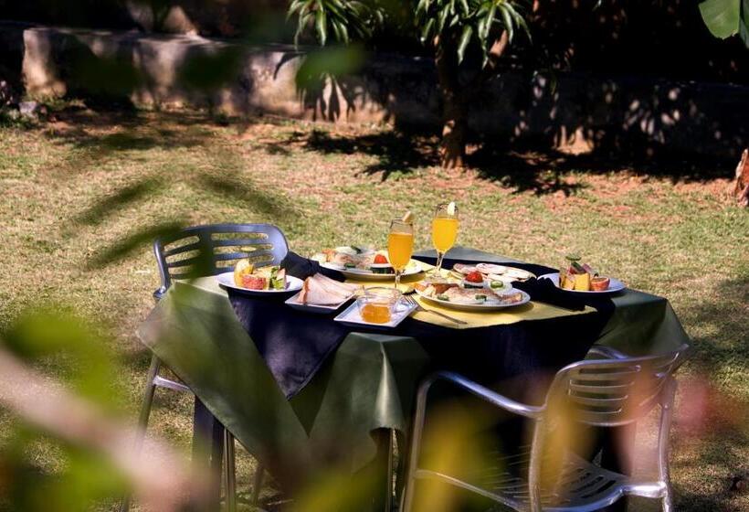 بنسيون Royal Rock Sigiriya