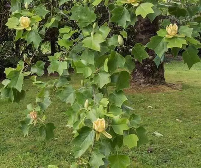 Majatalo Ty Dreux Entre Terre Et Mer