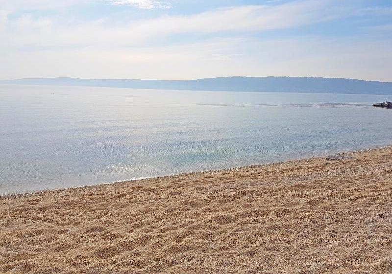 فندق Apartaments Damir