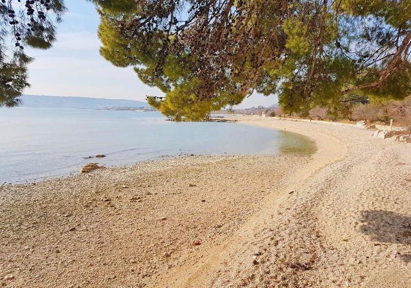 فندق Apartaments Damir