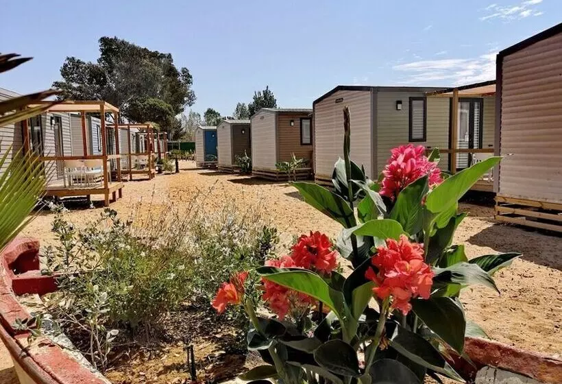 هتل Camping Playa Taray