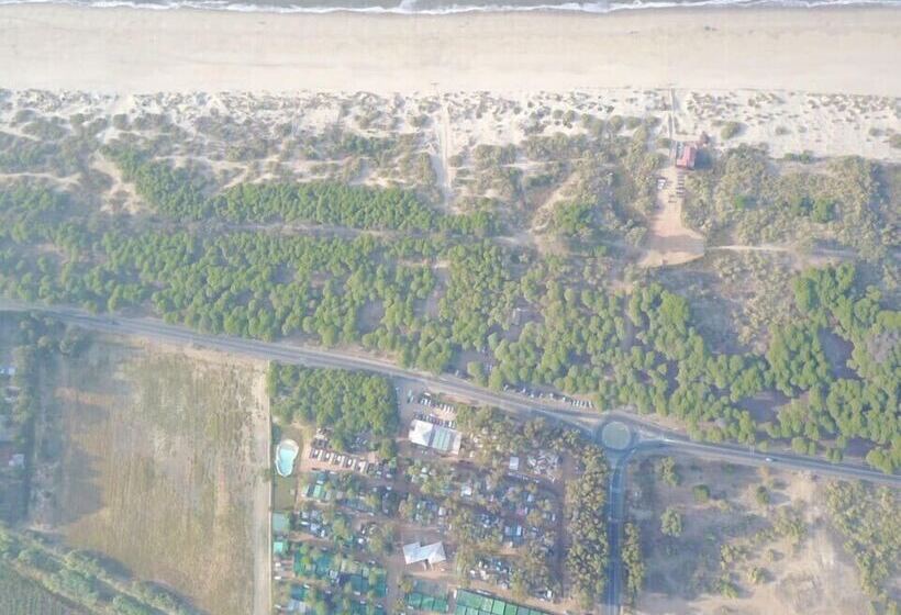 هتل Camping Playa Taray