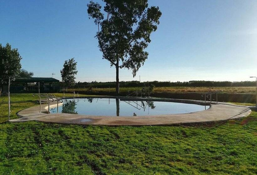 هتل Camping Playa Taray