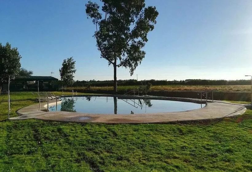 هتل Camping Playa Taray