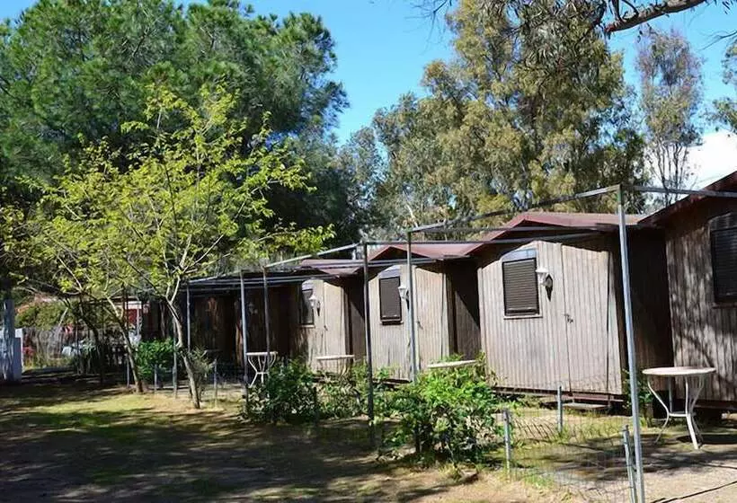 هتل Camping Playa Taray