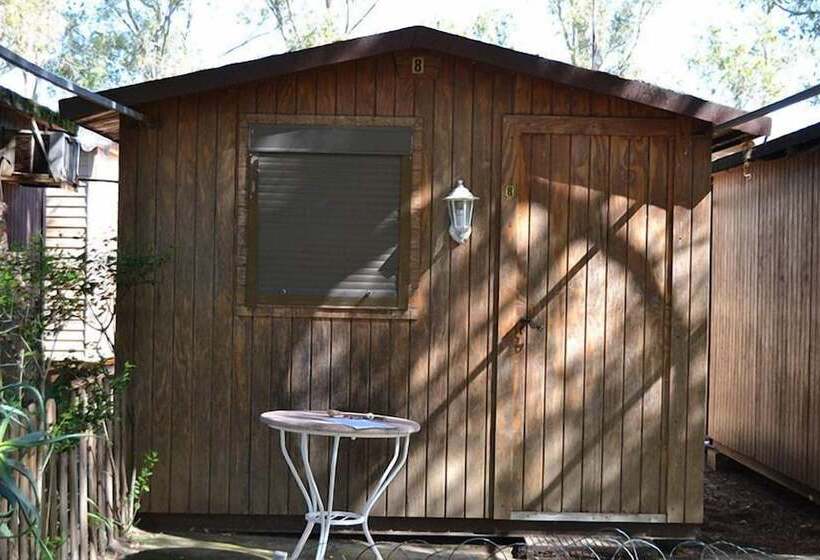 هتل Camping Playa Taray