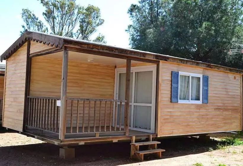 هتل Camping Playa Taray