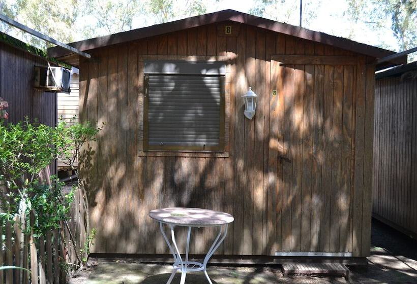 هتل Camping Playa Taray