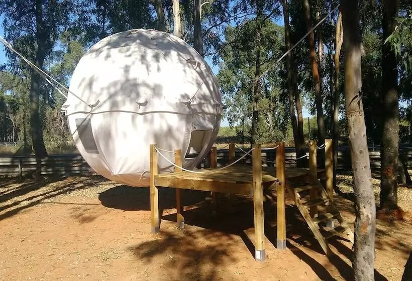 هتل Camping Playa Taray