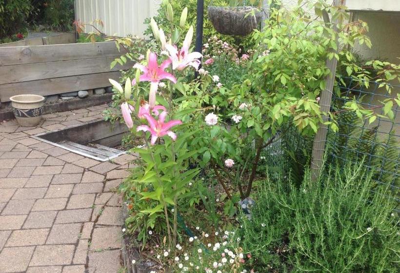 فندق Te Anau Lakefront B&b