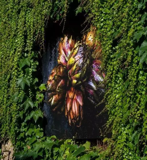 پانسیون Locanda Cà Dei Santi