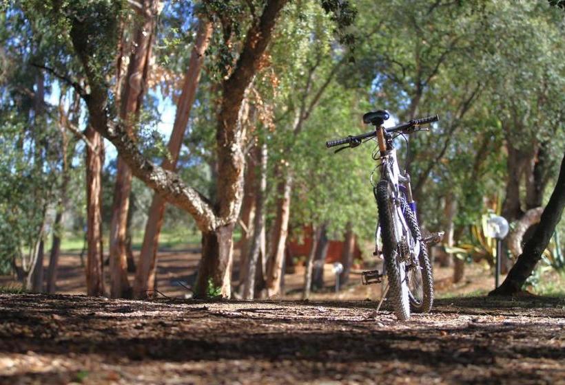 هتل Casa Vacanze La Sainella