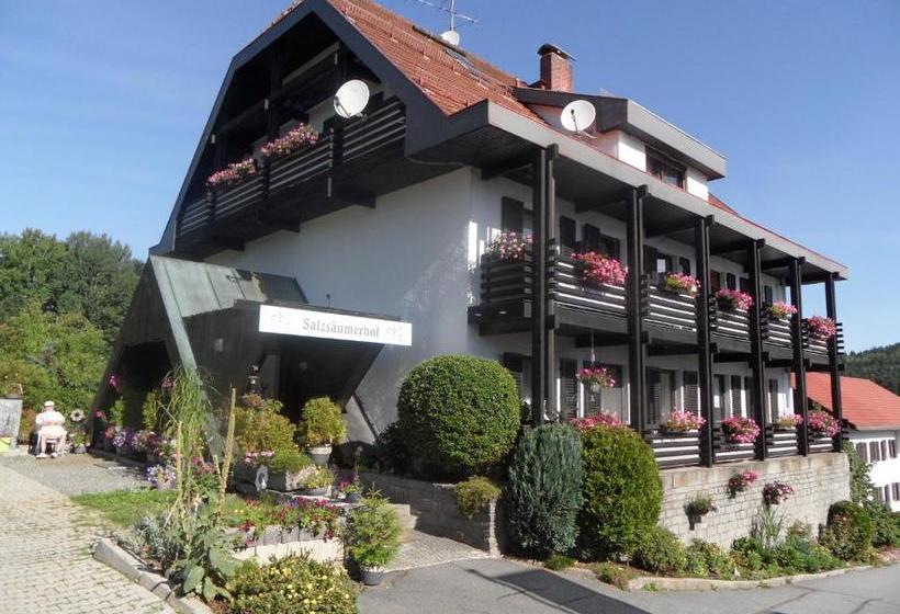 Отель Pension Salzsäumerhof