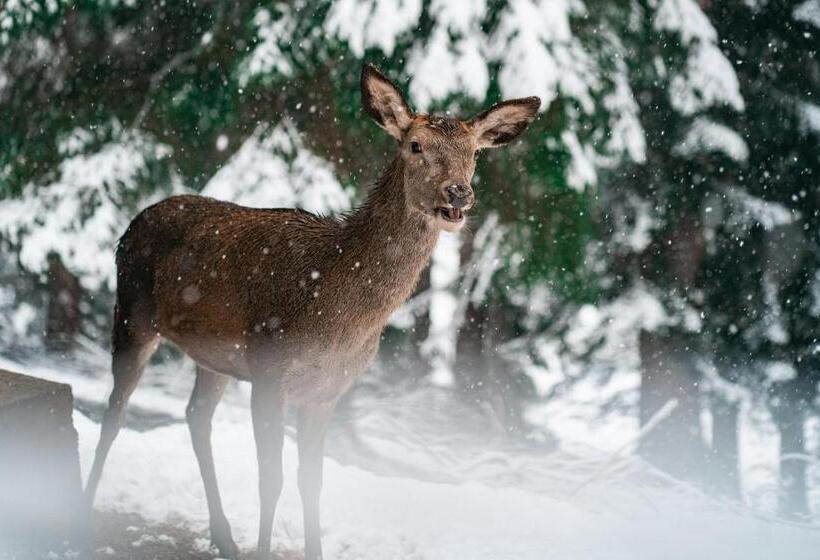 Ailwaldhof Parkhotel & Spa