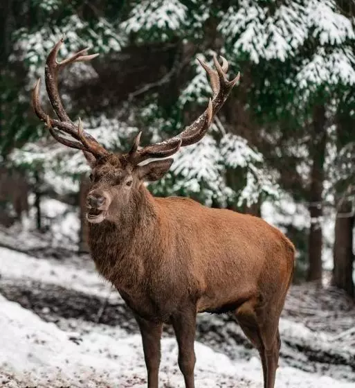 Ailwaldhof Parkhotel & Spa