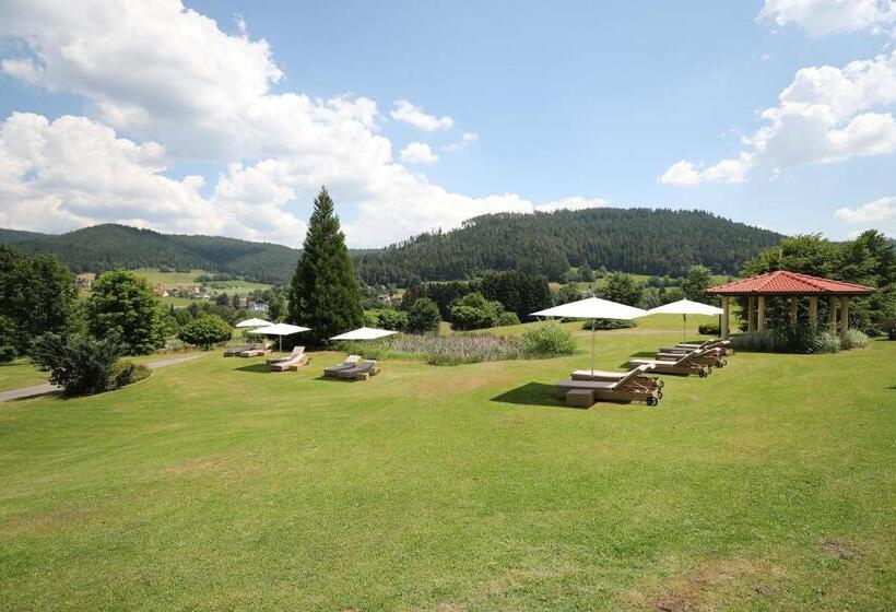 Ailwaldhof Parkhotel & Spa