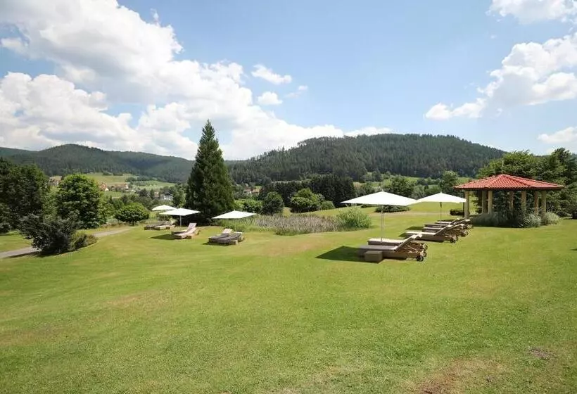 Ailwaldhof Parkhotel & Spa