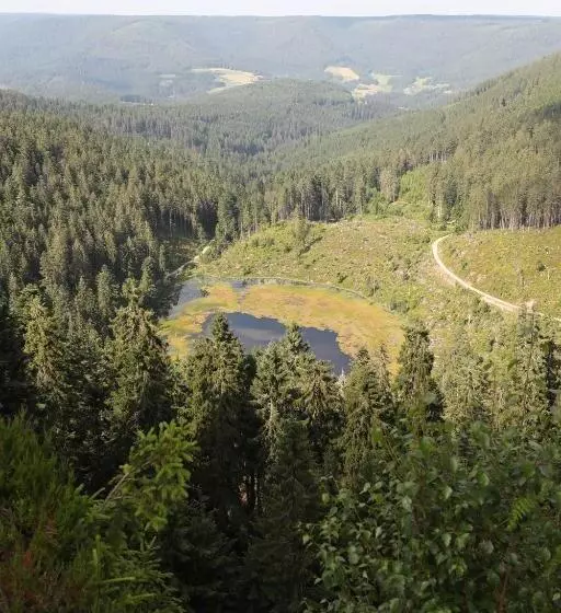 Ailwaldhof Parkhotel & Spa