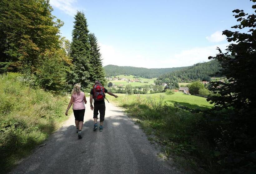 Ailwaldhof Parkhotel & Spa