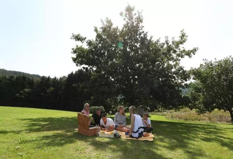 Ailwaldhof Parkhotel & Spa