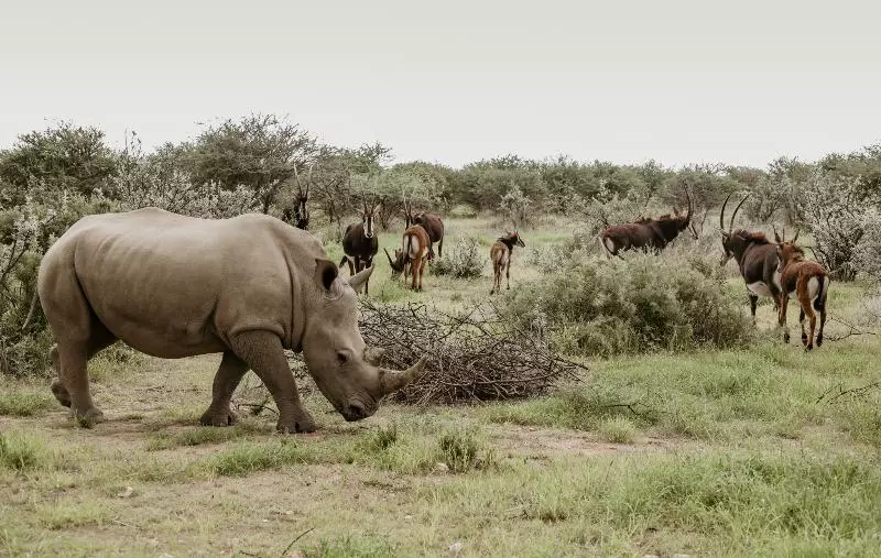 هتل Okapuka Ranch