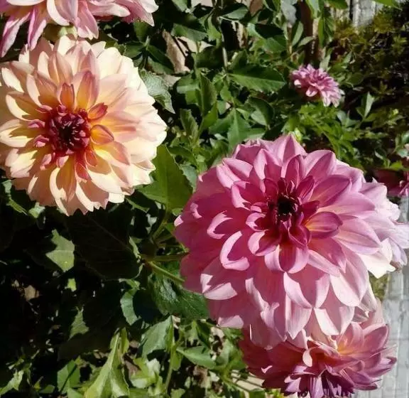 هتل Zur Waterkant Guesthouse