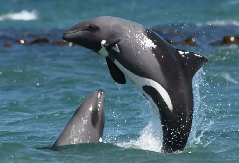 هتل Zur Waterkant Guesthouse