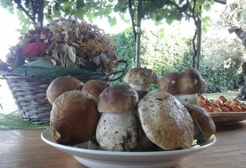 Aamiaismajoitus (B&B) Bio&b Cascina Montebello