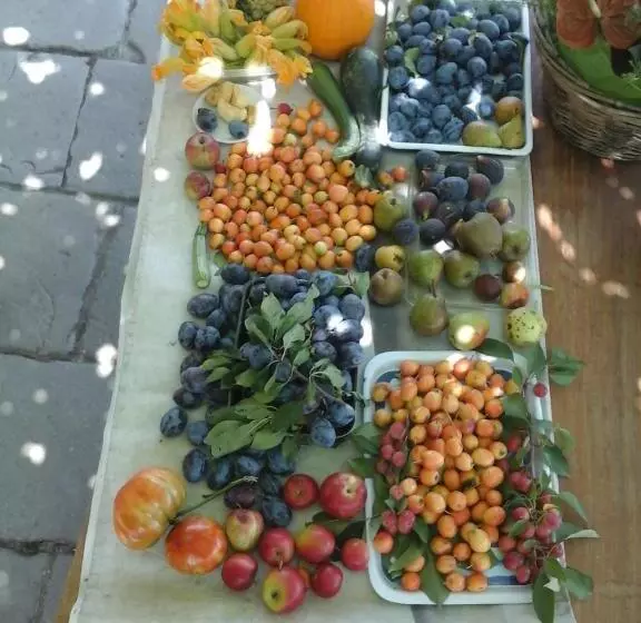 Aamiaismajoitus (B&B) Bio&b Cascina Montebello