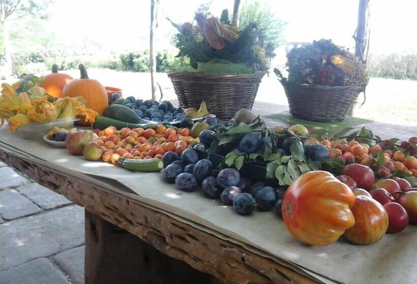 住宿加早餐  Bio&b Cascina Montebello