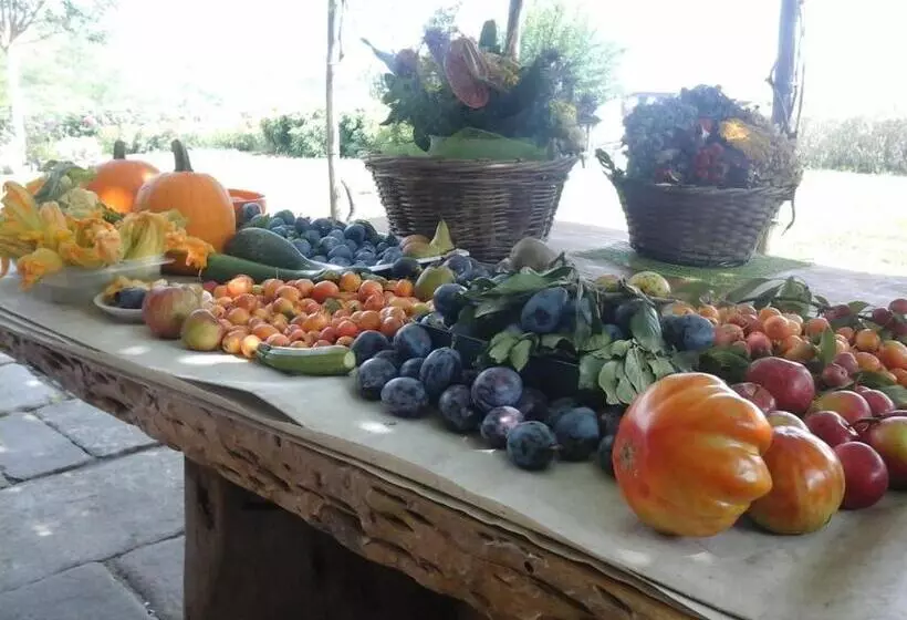 Aamiaismajoitus (B&B) Bio&b Cascina Montebello