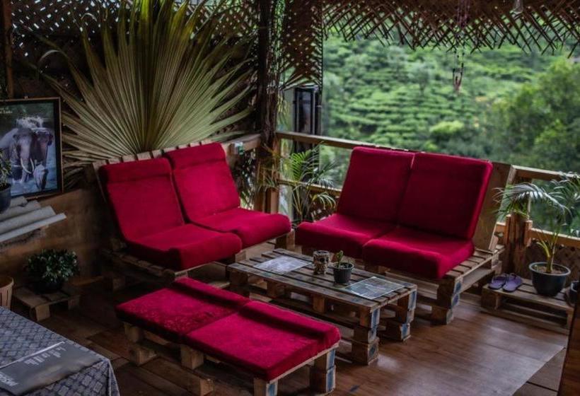 Vandrarhem Tree House Cafe Ella