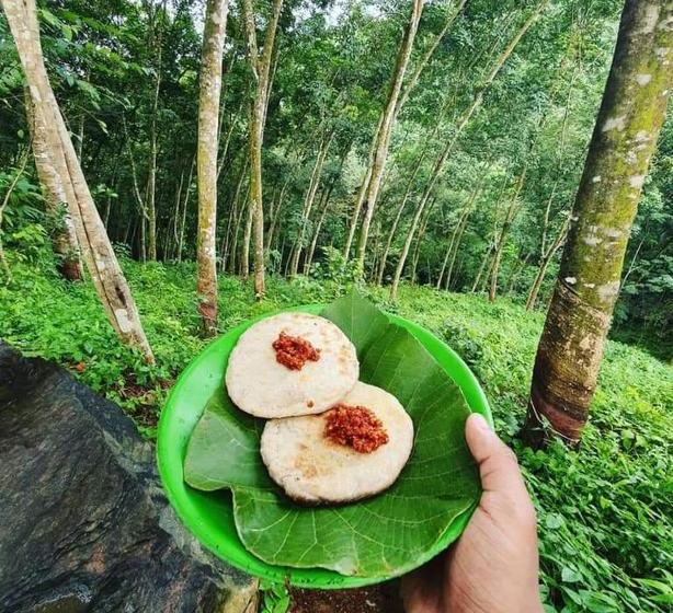 Vandrarhem Tree House Cafe Ella