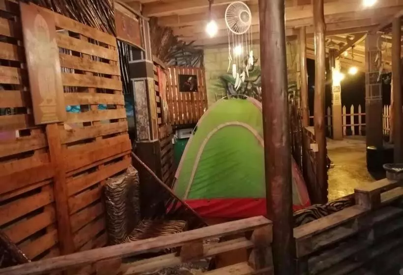 ユースホステル Tree House Cafe Ella