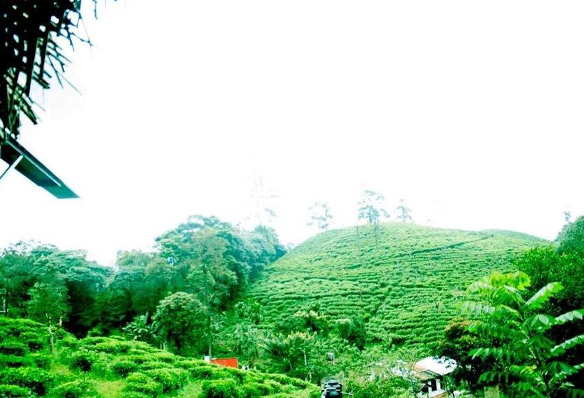 Vandrarhem Tree House Cafe Ella