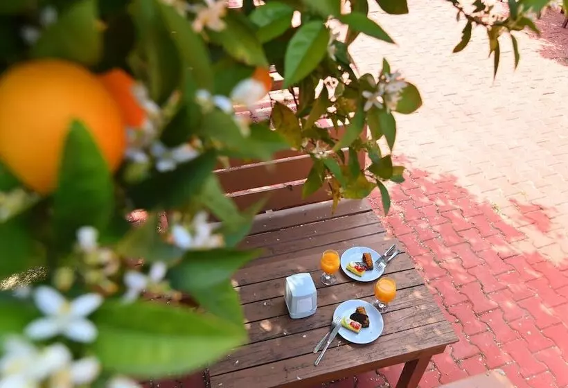 Grand Hotel Derin   All Inclusive