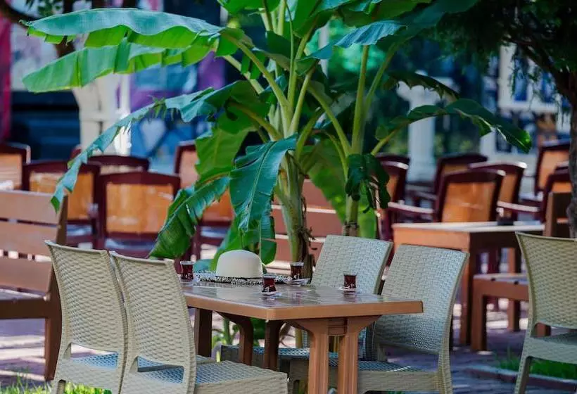 Grand Hotel Derin   All Inclusive
