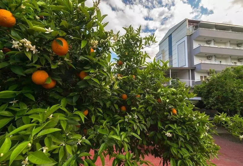 Grand Hotel Derin   All Inclusive