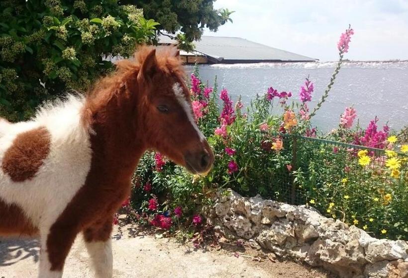 בית מלון כפרי Agriturismo Torrevecchia