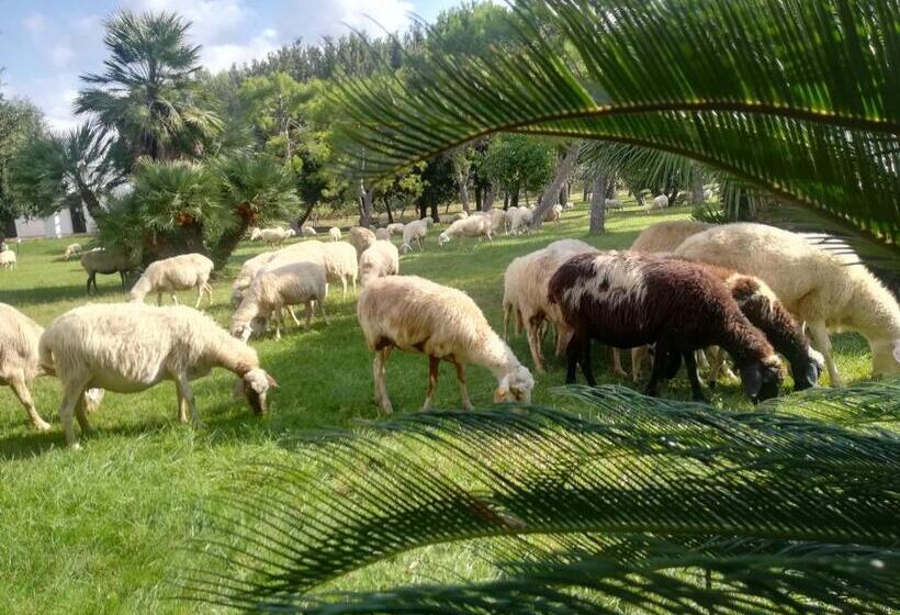 בית מלון כפרי Agriturismo Torrevecchia