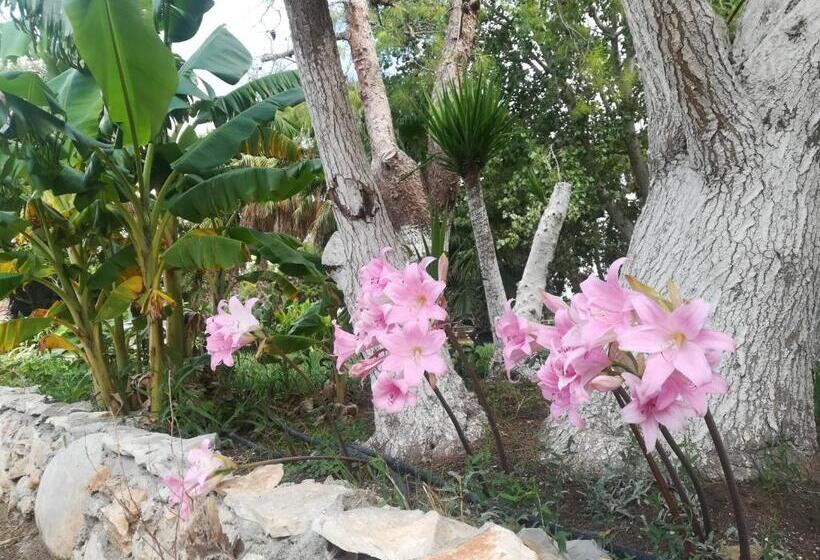 בית מלון כפרי Agriturismo Torrevecchia