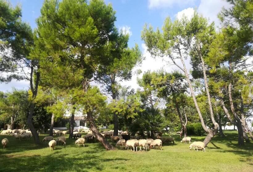 בית מלון כפרי Agriturismo Torrevecchia