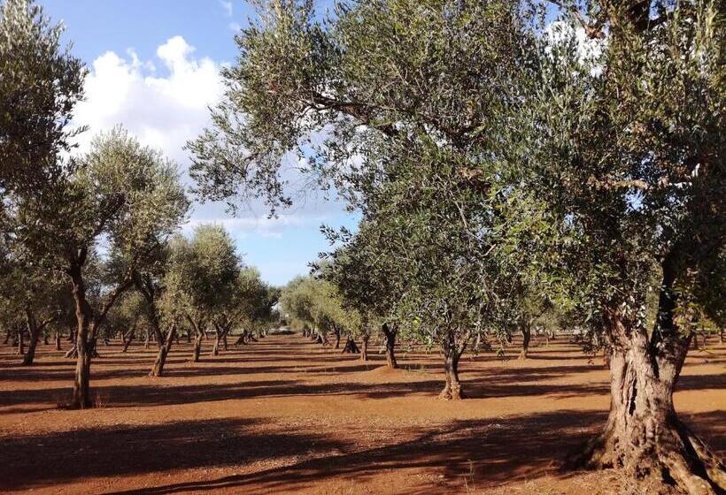 בית מלון כפרי Agriturismo Torrevecchia