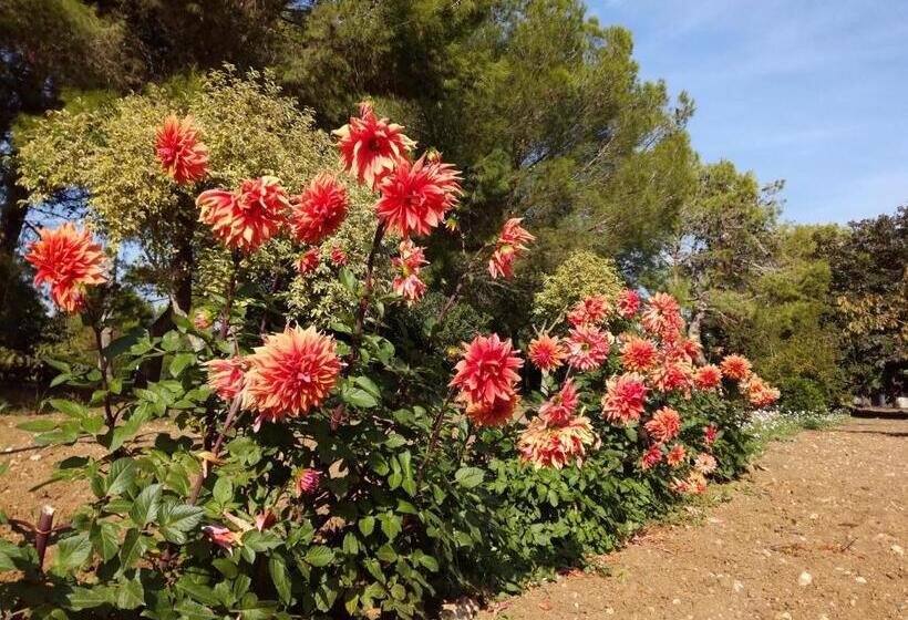 בית מלון כפרי Agriturismo Torrevecchia