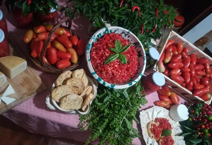 בית מלון כפרי Agriturismo Torrevecchia