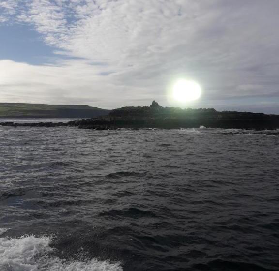 בית מלון כפרי Dubhlinn House