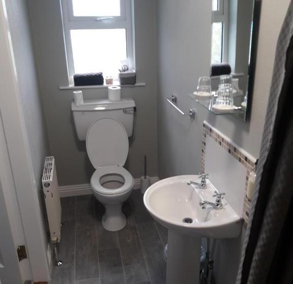 בית מלון כפרי Dubhlinn House