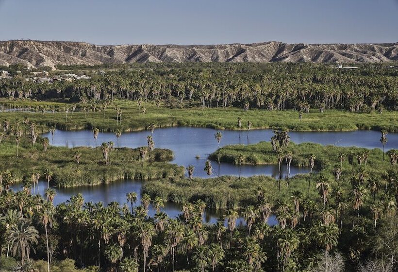 酒店 Four Seasons Resort Los Cabos