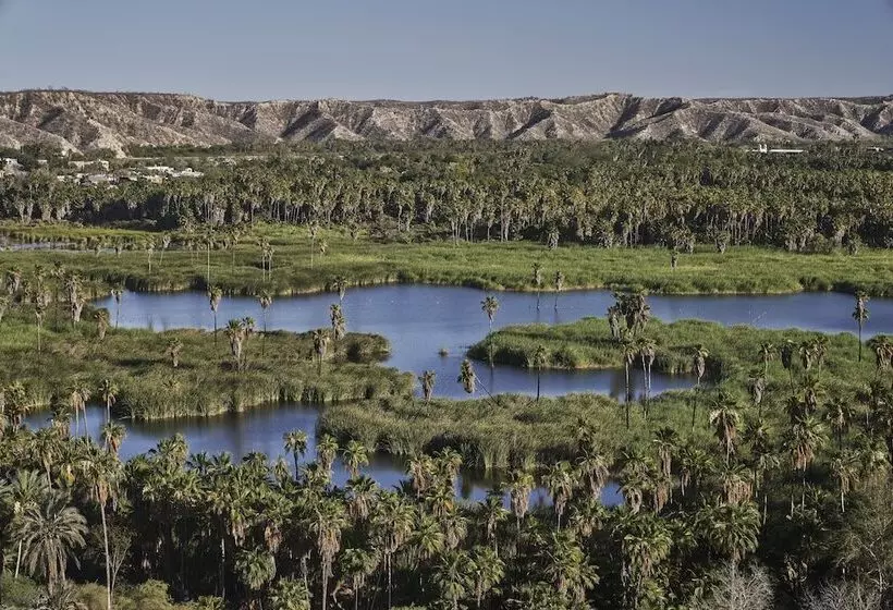 Hotelli Four Seasons Resort Los Cabos